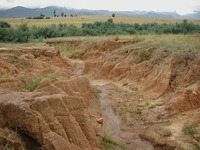 アパルトヘイト下で農村社会が崩壊。伝統的農業も破壊された。