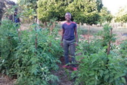 DICに通う青少年自身が家庭菜園づくりを学びます。