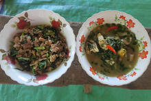 左：チャヤを利用した炒め物。右：アメマシバを利用したスープ