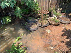 高さを出し、また移動が容易なため、冠水時に作物を保護しやすい（雨季）