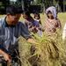生態系に配慮した農業による家族経営農家の生計改善