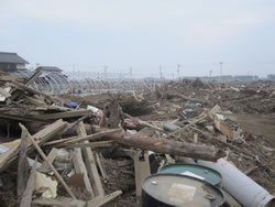 農地をはじめ大きな被害を受けた沿岸部