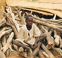 避難民キャンプで暮らす少年