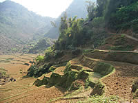 米作りが難しい土地が多い