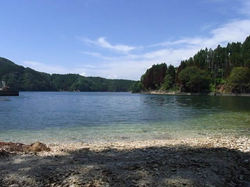 豊かな海産物の宝庫である気仙沼湾