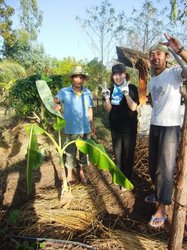 タイの農園で農業体験できます