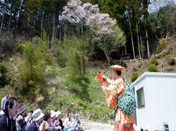 地域のお花見で披露される大黒舞