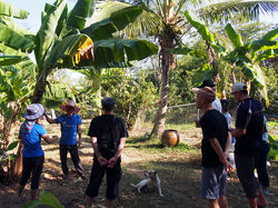 カオデーン農園