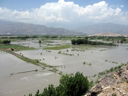 農地のほとんどが洪水の被害を受けたカチャラ村