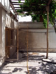 お隣さんに水を提供