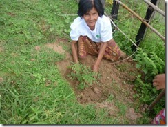 木を植えるおばあさん