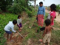 子どもたちも参加。通学路に木陰ができる。