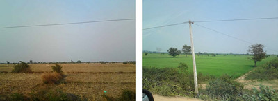 左はJVCの活動地、右はトンレサップ湖周辺の田んぼ