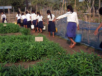 一列に並んで水やり。