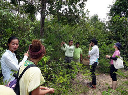 森で野菜をとる様子