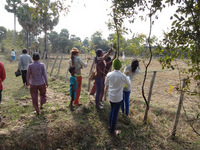 堆肥用の葉っぱを集める研修参加者