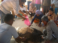 ぼかし肥の研修は初めておこないました