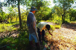 一緒に仕事をするセルナン（左）とソカー（右）。とてもいい勉強になりました。