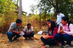 和やかな雰囲気の調査風景