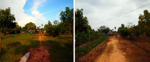 カンボジアに来た当初（左）と現在（右）の農場風景。