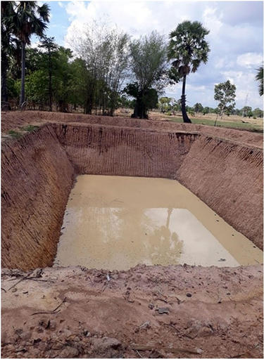 今のところ順調です