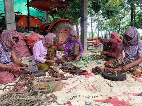 カンボジアの伝統布・クロマーは日よけにもなるし、こうやってマスクにもなるし、本当に万能です