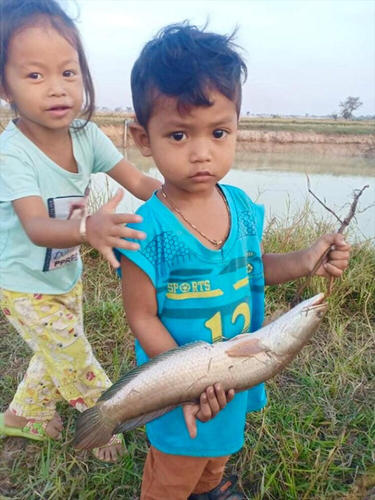 近所の子も一緒に、魚とりを楽しんだそうです