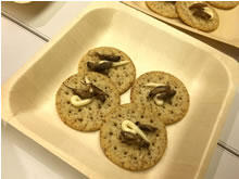 ローストコオロギのクラッカーのせ