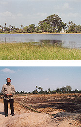 （上）例年の1月、（下）今年の1月の村の共同池