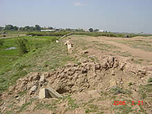 埋め立て地の視察