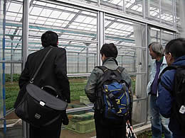 吉岡さんの仲間の畑やビニールハウスを見学