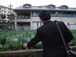 有機キャベツ畑の写真を撮る