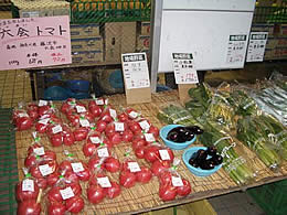 撮っていたのは・・・・？