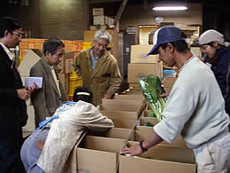 野菜と果物の出荷作業を見学