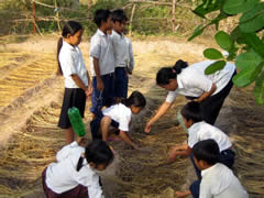 環境教育の授業の一環で子供たちが先生と一緒に空芯菜を植えている様子