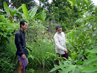 家庭菜園を手入れするパンポエンさん（左）