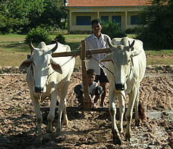 子どもの重みでより平らになる