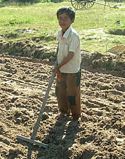 土を平らにならす