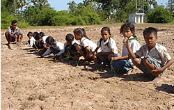 苗と苗の間をあけて植える