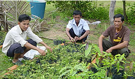 苗木の手入れをする先生たち