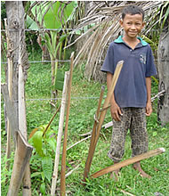 僕のマンゴーの木！大事にしてます！