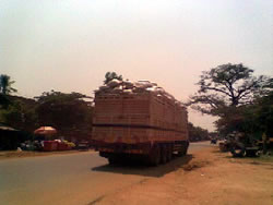 コメがいっぱいに詰まったトラック