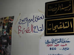 「BCGありません」