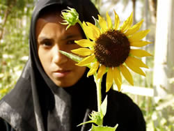 ハディールさんとひまわり