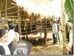 ヤギ小屋を見学する参加者