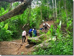 村内の森林地帯を実際に歩いて村境を確認する住民