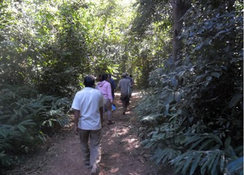 村人と共有林内を歩く