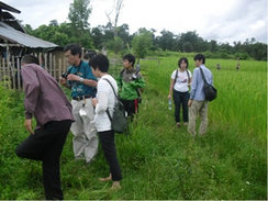 SRI田を見学する学生