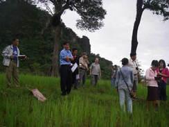 様々な団体から様々な国籍の人々が参加した視察