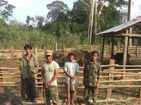 牛銀行の牛小屋(パルー村)